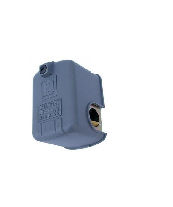 Pressure switch for autoclave SQUARE D mod. FSG-2 adjustable bipolar - 1/4 "F