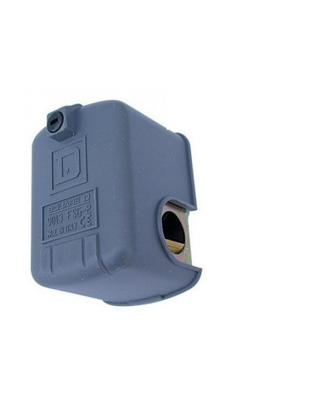 Pressure switch for autoclave SQUARE D mod. FSG-2 adjustable bipolar - 1/4 "F