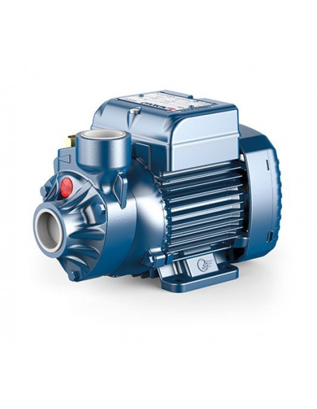 Elektrische Pumpe mit peripherem Laufrad PEDROLLO PKm60