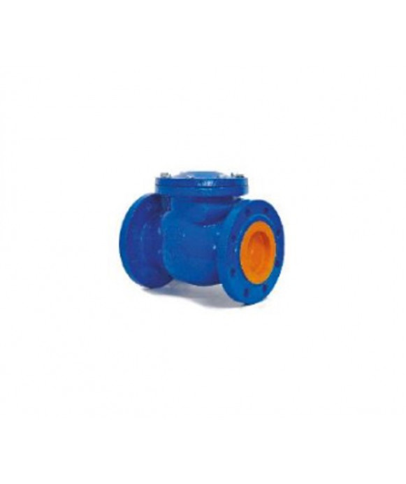 Check valve